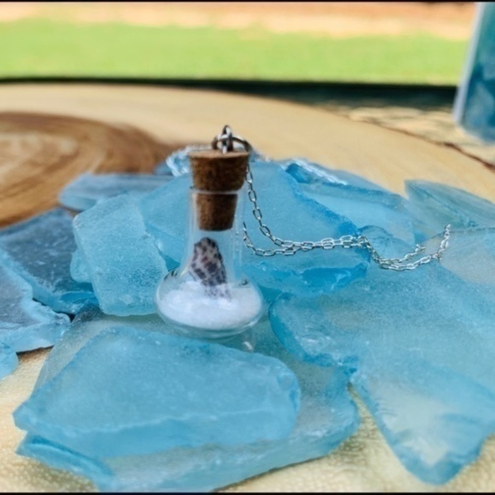 Real Miniature Seashell In Glass Pendant Necklace